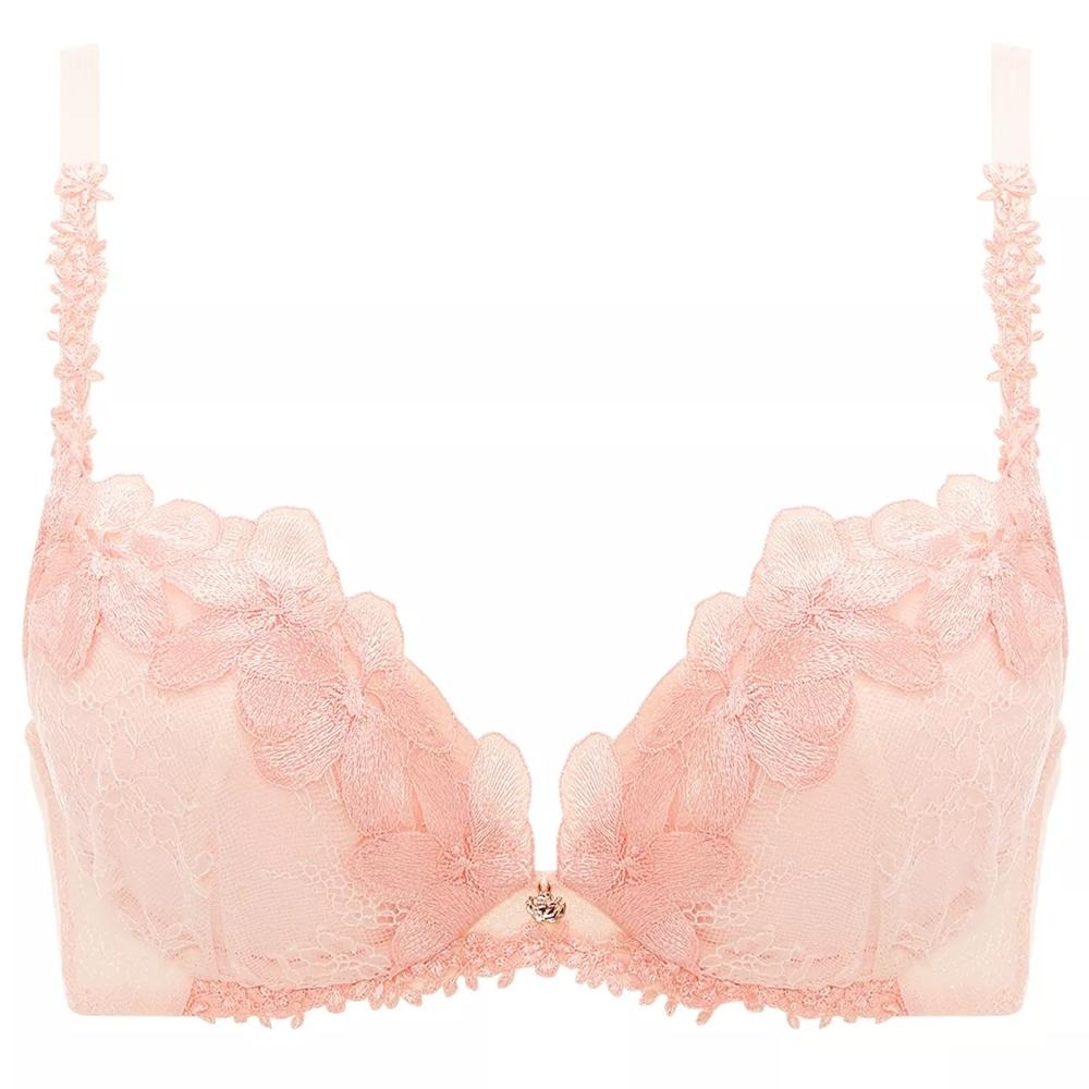 トリンプイメージ 