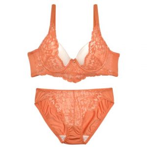 フローリデリッチレースブラジャーフルバックショーツ